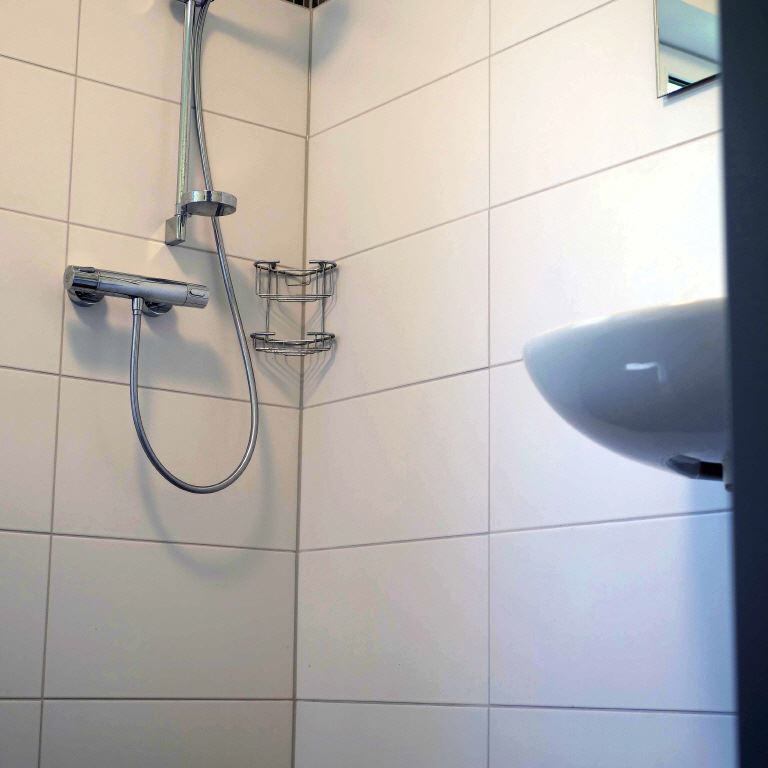 Behindertengerechte Toilette im Erdgeschöß mit Dusche und Waschbecken 03