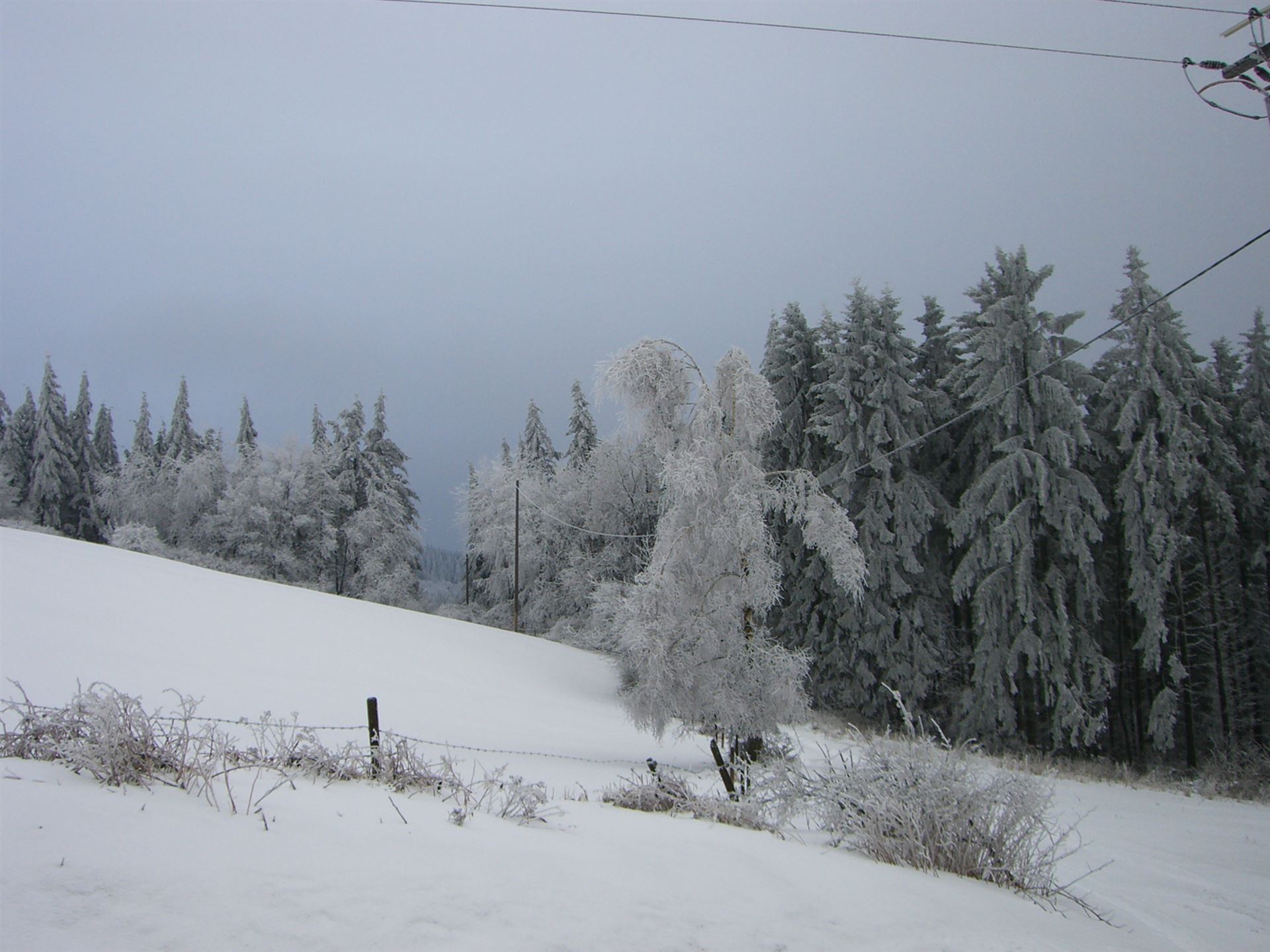 Wanderwege rund um Heckenbach