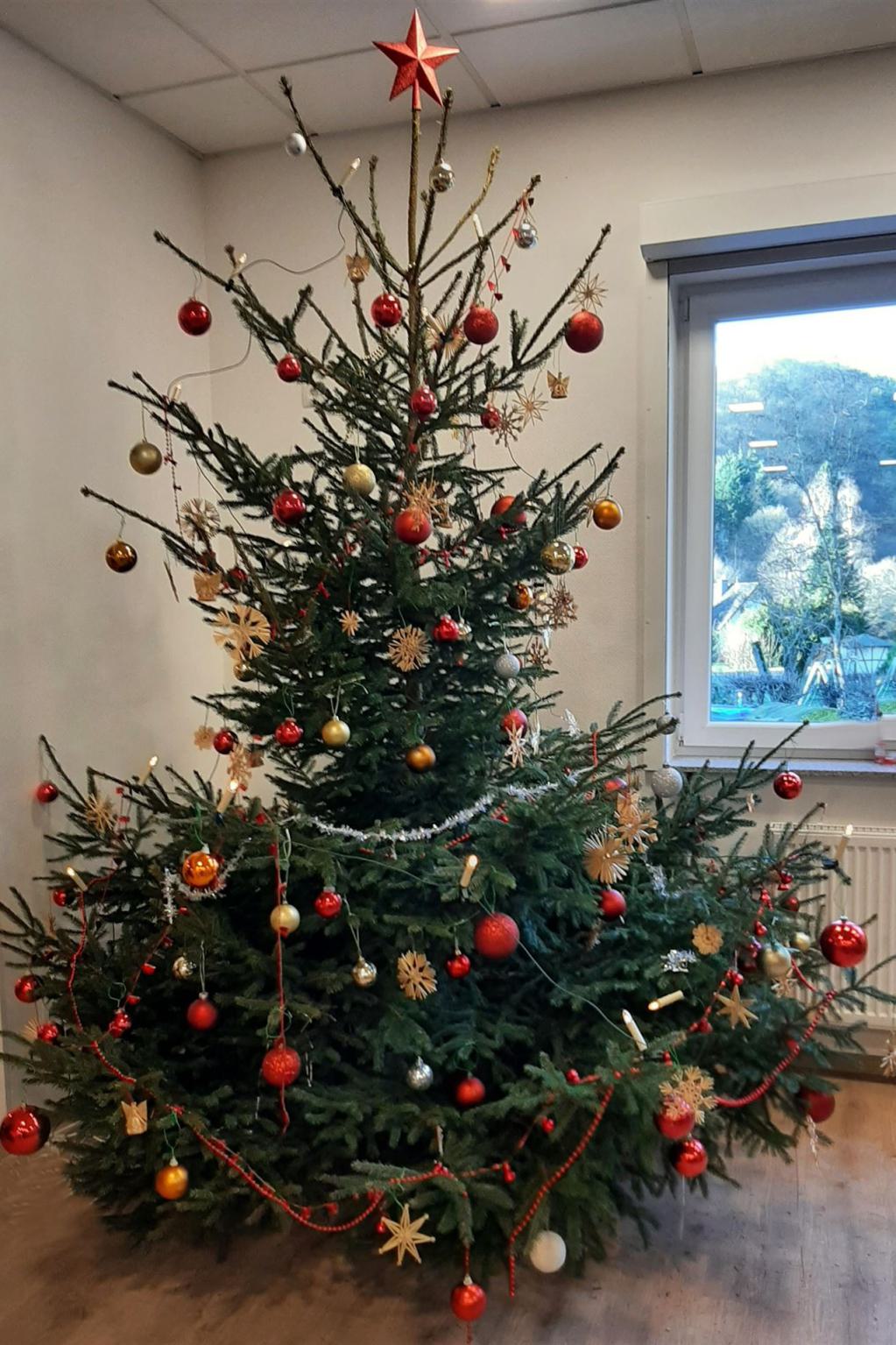 Weihnachtsgruß 2025