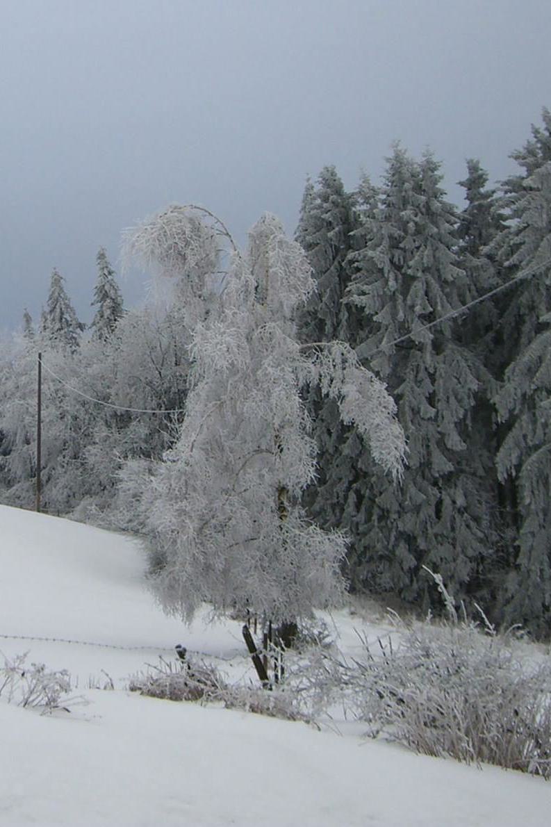 Winterbild rund um Cassel
